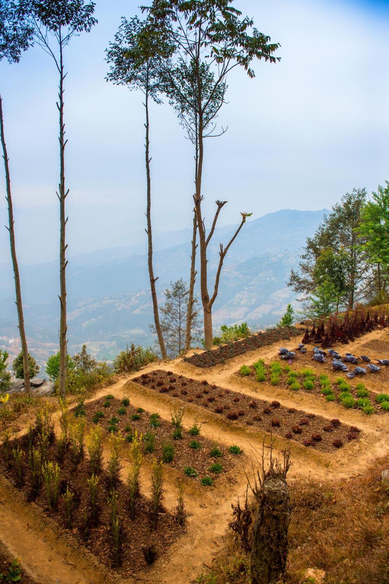 Dwarika'S Resort - Dhulikhel Wellbeing Escape In The Himalayas מראה חיצוני תמונה