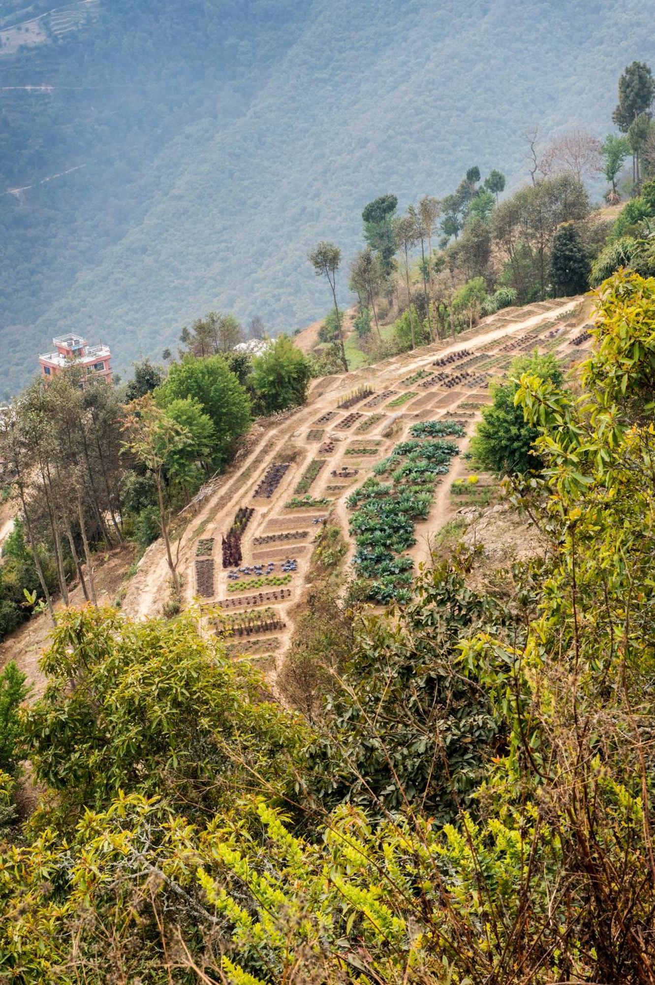 Dwarika'S Resort - Dhulikhel Wellbeing Escape In The Himalayas מראה חיצוני תמונה